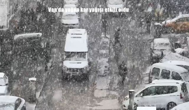 Van'da yoğun kar yağışı etkili oldu
