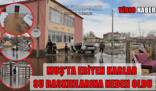 Muş’ta ani kar erimesi ve sağanak yağış taşkınlara yol açtı