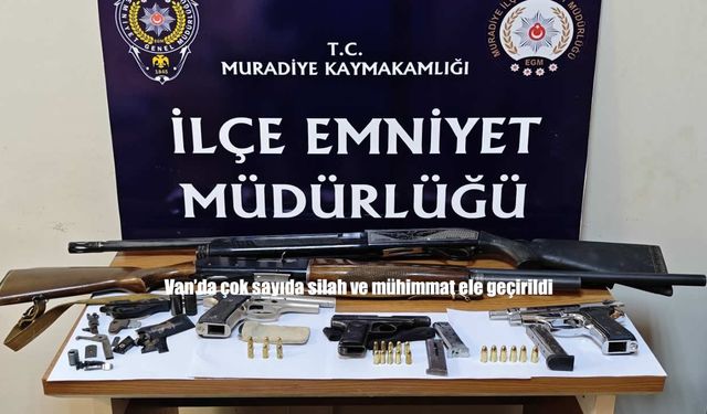 Van’da ruhsatsız silah operasyonu: 1 şüpheli gözaltında
