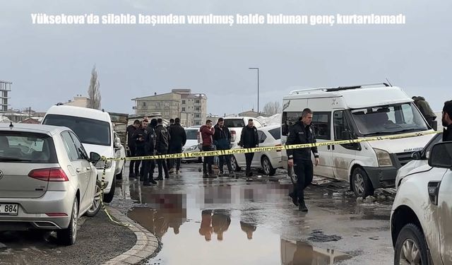 Yüksekova’da başından vurulan genç hastanede yaşamını yitirdi