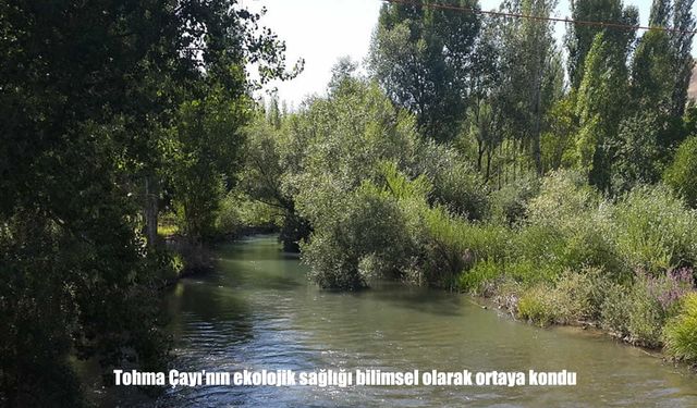 Tohma Çayı’nın ekolojik tablosu bilimsel araştırmalarla netleşti