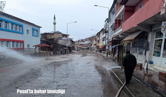 Posof’ta bahar temizliği: Cadde ve sokaklar yıkandı