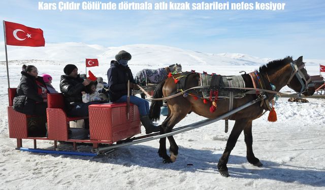 Kars Çıldır Gölü’nde dörtnala atlı kızak safarileri nefes kesiyor