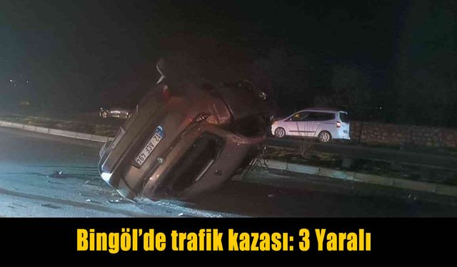 Bingöl’de feci kaza: 3 Yaralı