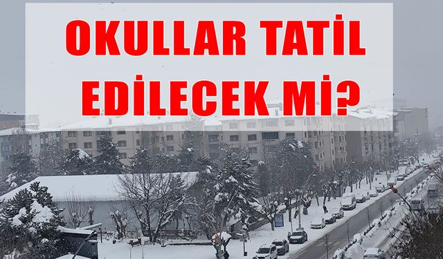 Muş’ta gözler valiliğin "kar tatili" kararında