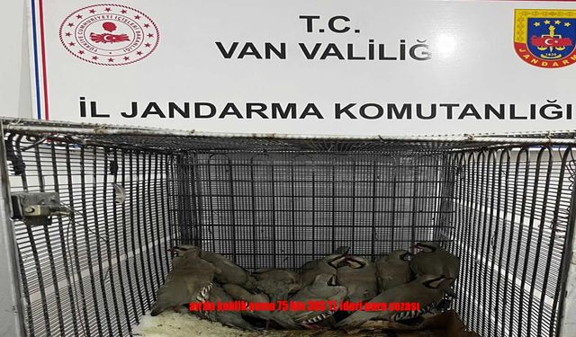 Van’da kaçak keklik avına 75 bin TL ceza