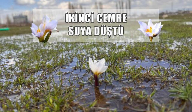 Geri sayım başladı: İşte son Cemre’nin düşeceği o tarih