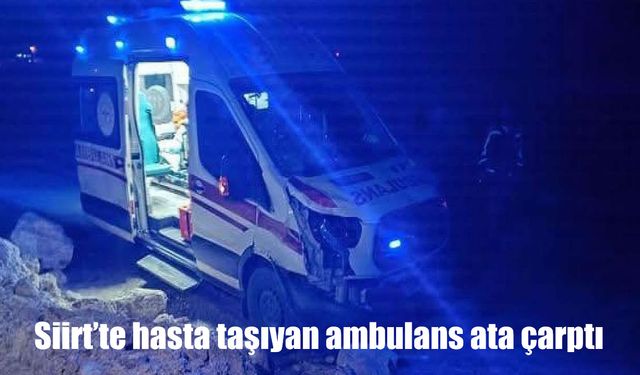 Siirt’te hasta taşıyan ambulans ata çarptı