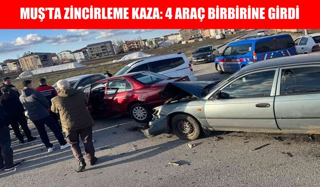 Muş cezaevi yolunda zincirleme trafik kazası