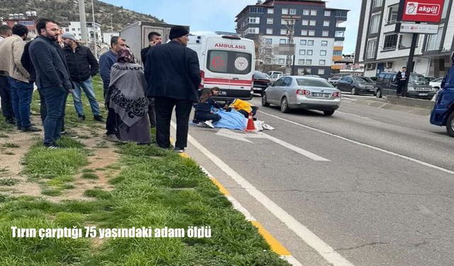 Hatay’da feci kaza: Tırın çarptığı yaşlı adam hayatını kaybetti