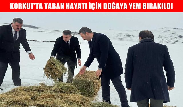 Korkut’ta yaban hayatı için doğaya yem bırakıldı