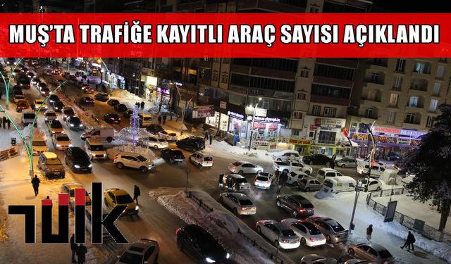 Muş'ta trafiğe kayıtlı araç sayısı 42 bini geçti