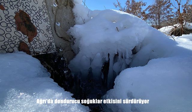 Ağrı’da dondurucu soğuklar etkisini sürdürüyor