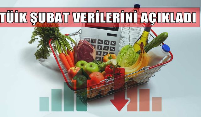 Şubat Ayı Enflasyon Rakamları Açıklandı