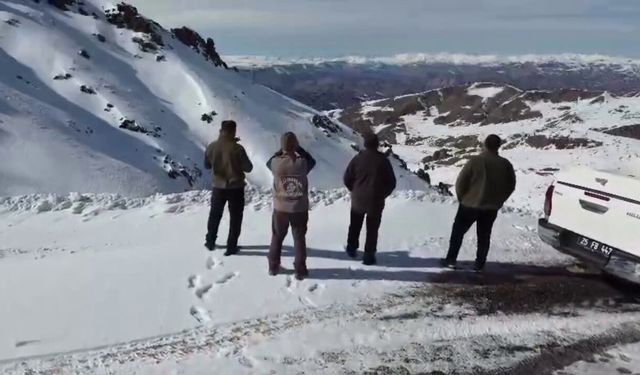 Erzurum’da Kaçak Avcılara Operasyon: 16 Keklik Ele Geçirildi