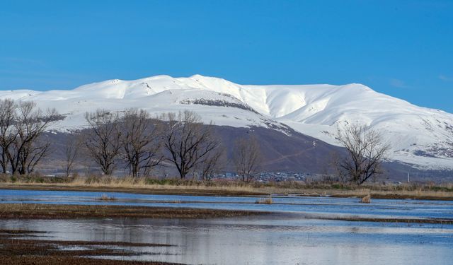 Meteorolojiden Uyarı: Kuvvetli Rüzgar ve Çığ Tehlikesi