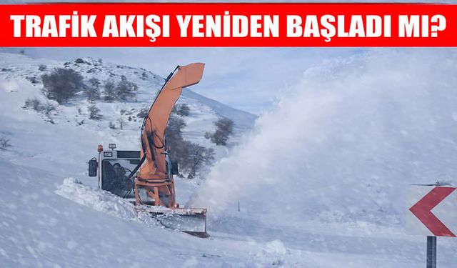 Mutki-Hasköy kara yolu ulaşıma açıldı mı?