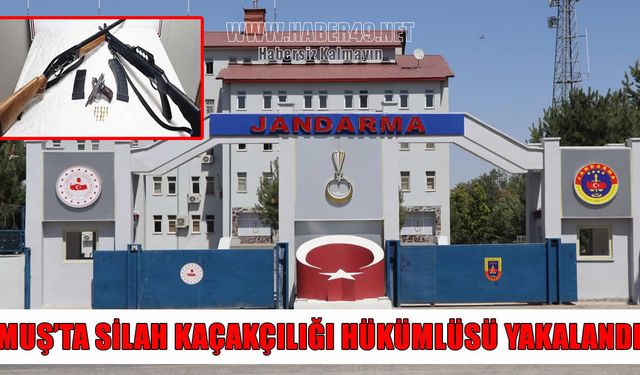 Muş'ta silah kaçakçılığından aranan şahıs yakalandı