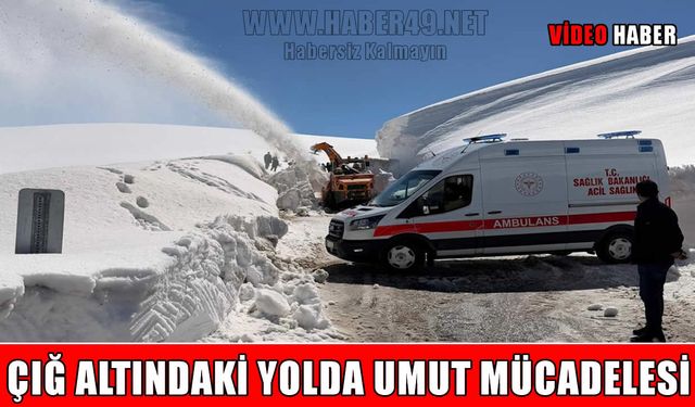 Hasköy-Mutki yoluna çığ düştü: Ekipler zamanla yarıştı