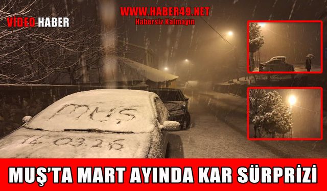 Muş’ta mart sürprizi: Kent merkezi beyaza büründü