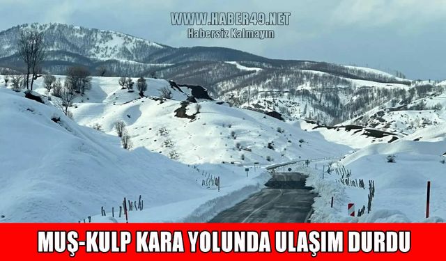 Kar ve tipi ulaşımı kilitledi: Muş-Kulp yolu kapandı