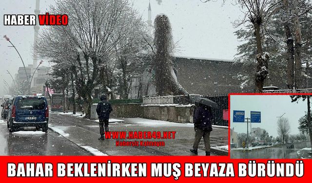 Muş’ta mart sürprizi: Kış geri döndü