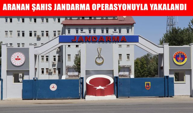 Muş'ta 'silahla yağma' suçundan 4 yıl hapis cezasıyla aranan şahıs yakalandı