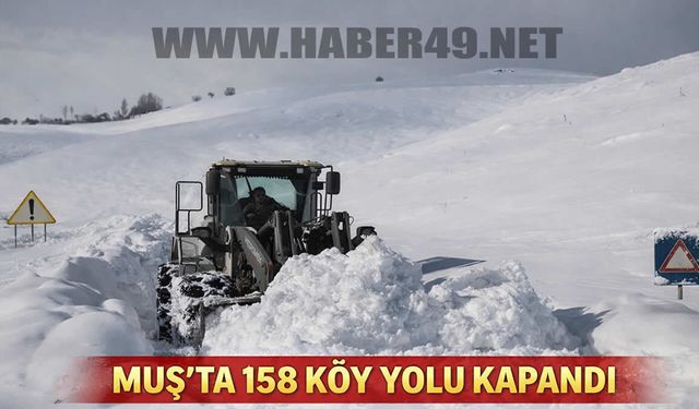 Muş’ta baharı beklerken kar sürprizi: 158 köy yolu beyaza gömüldü