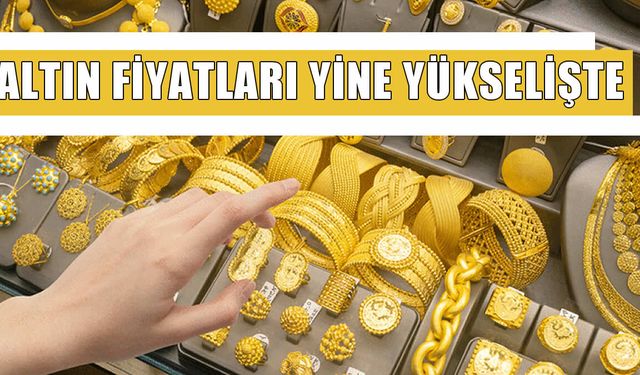 Altın Mart Ayına Yükselişle Girdi: Gram ve Çeyrek Altın Zirveye Yaklaştı