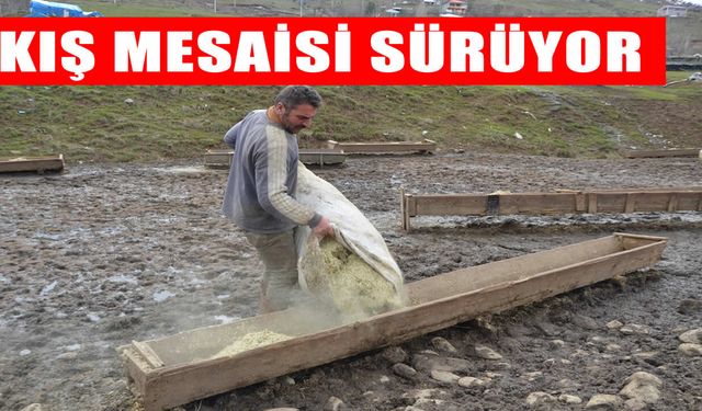 Muş’ta besicilerin zorlu kış mesaisi sürüyor