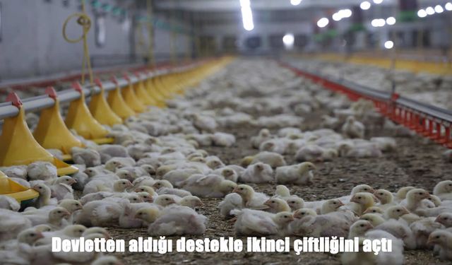 Devlet desteğiyle büyüdü: İkinci çiftliğini kurup üretimini katladı