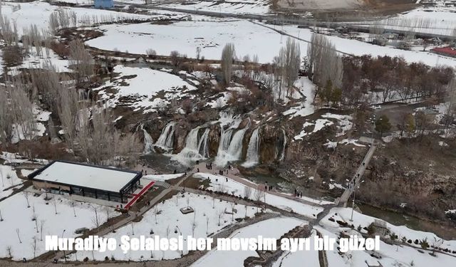 Muradiye Şelalesi Bayramda Ziyaretçi Akınına Uğradı