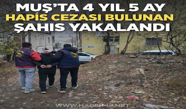Muş’ta hapis cezası bulunan şahıs kovalamaca sonucu yakalandı