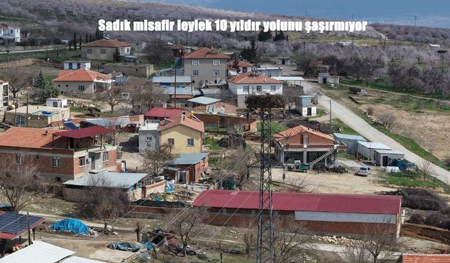 Baharın Müjdecisi 10 Yıldır Aynı Yuvada