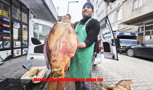 Ahlat’ta Dev Sazanlar Tezgâhlarda