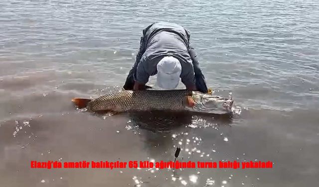 Sezonun Son Saatlerinde Dev Turna Balığı Yakalandı