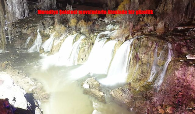 Van’ın Sıradışı Doğa Harikası