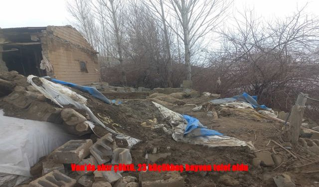 Van’da Ahır Çöktü, Hayvanlar Telef Oldu