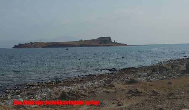 Van Gölü: Sessiz görünen, ama 7/24 canlı bir ekosistem