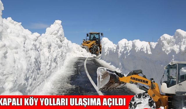 Muş’ta kapalı 14 köy yolu yeniden ulaşıma açıldı