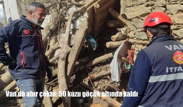 Van’da ahır çöktü: 50 kuzu göçük altında kaldı
