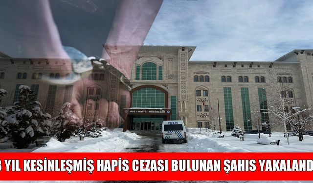 Muş’ta 3 yıl hapis cezası bulunan hükümlü yakalandı