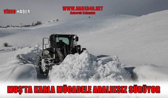 Muş’ta 45 köy yolu tipi nedeniyle ulaşıma kapandı