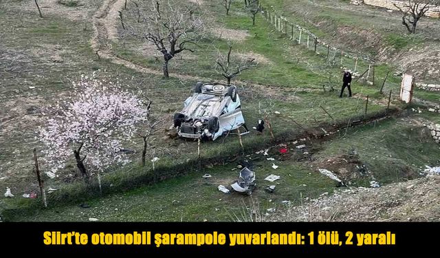 Kontrolden çıkan otomobil can aldı: 1 ölü, 2 yaralı