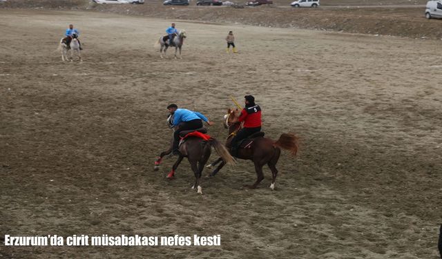 Erzurum’da cirit müsabakası nefes kesti