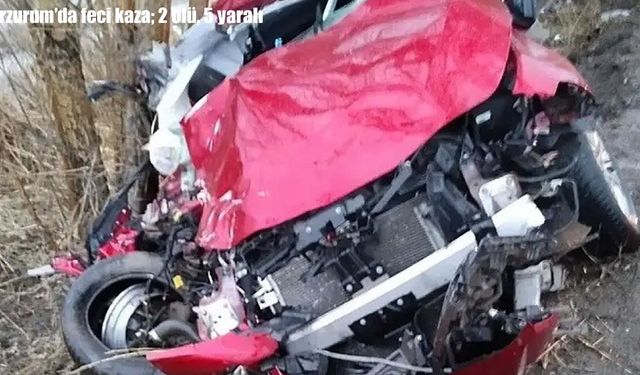 Erzurum’da otomobil ağaca çarptı: 2 ölü, 1’i ağır 5 yaralı