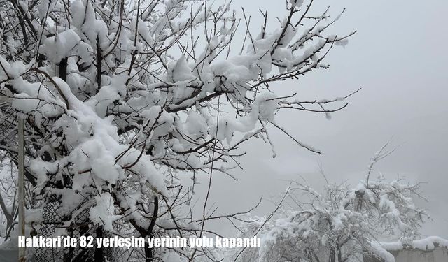 Hakkari’de ulaşıma kar engeli: 82 yerleşim yerinin yolu kapandı