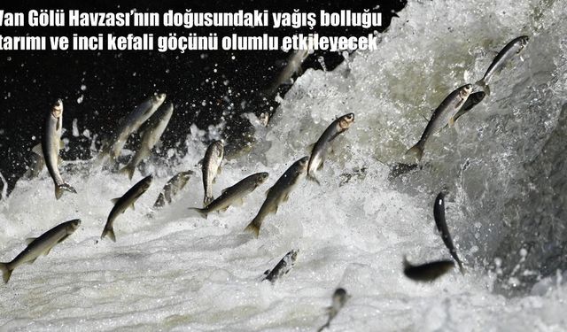 Prof. Dr. Faruk Alaeddinoğlu; "2026 yılındaki yağışlar insanların su ihtiyacını karşılayacak"