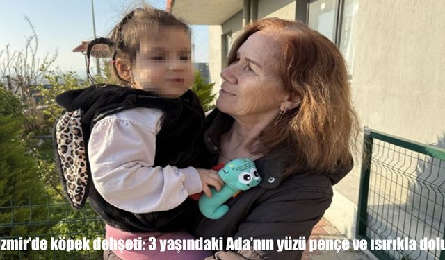 İzmir’de apartman bahçesinde köpek saldırısı: 3 yaşındaki Ada yüzünden yaralandı