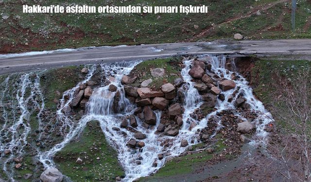 Hakkari’de doğa yeniden canlandı: Yol ortasında su kaynağı